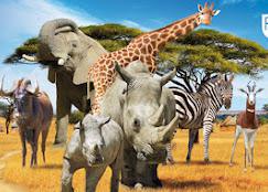 SAFARI de Peaugres