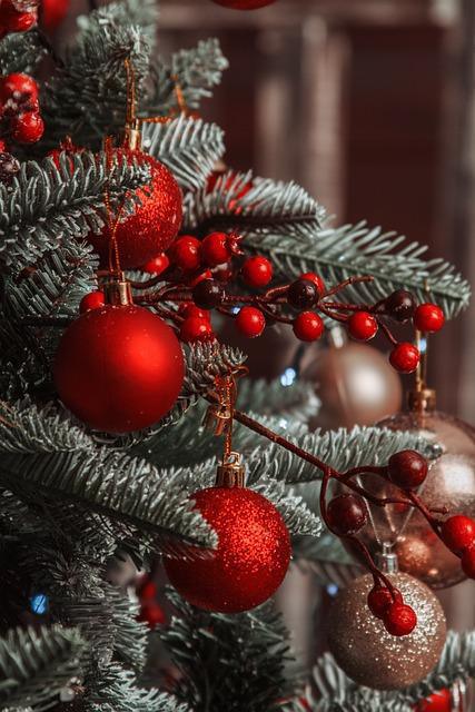 Colis de Noël et tombola