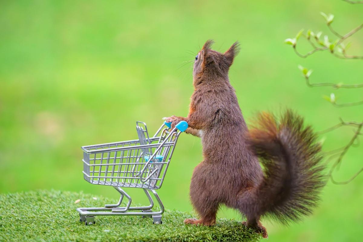 Intersyndicale : Préavis de grève 13 mai Intersyndicale : Préavis de grève 13 mai