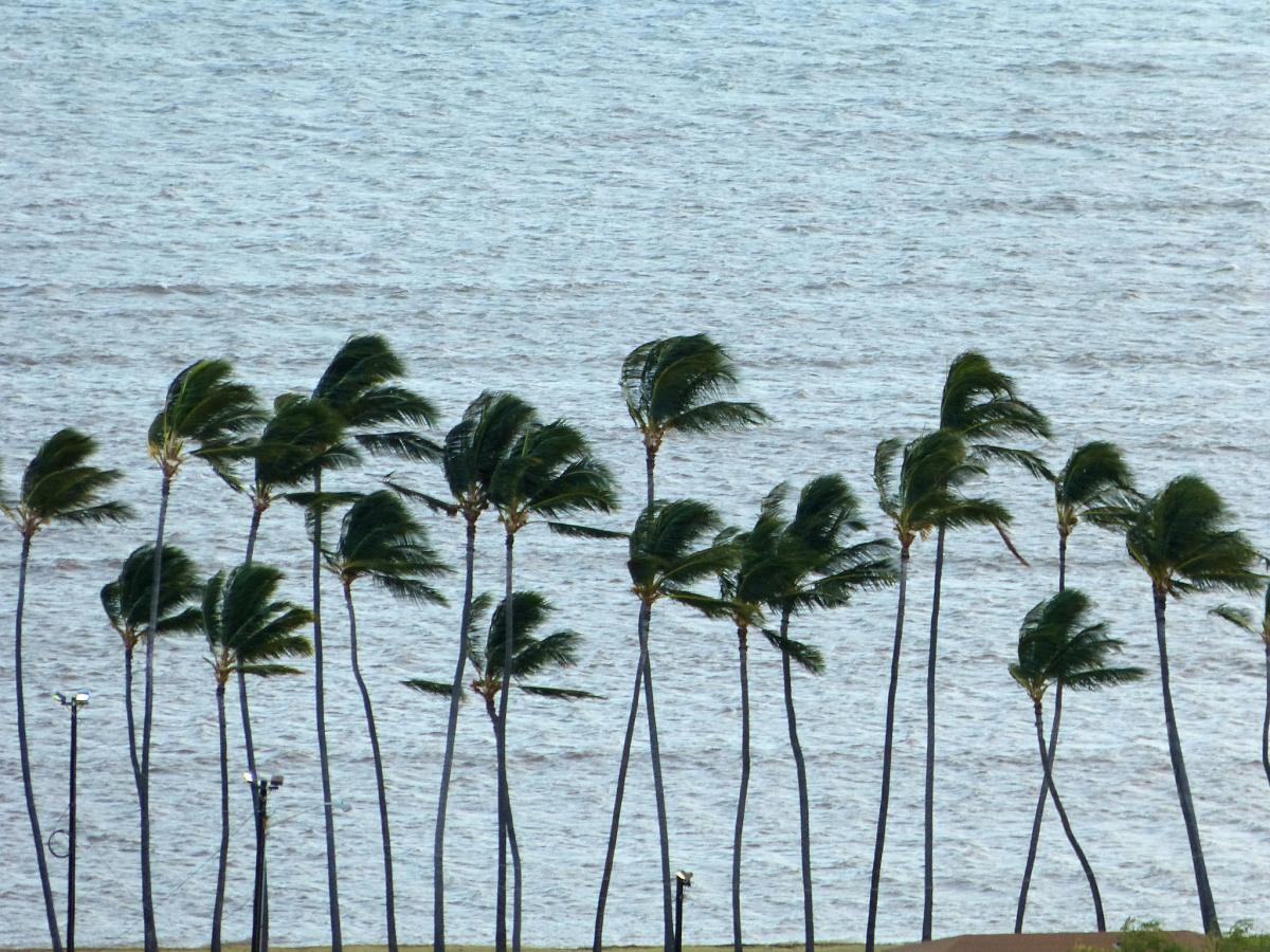 Urlaub für die Seele nach Hawaii 