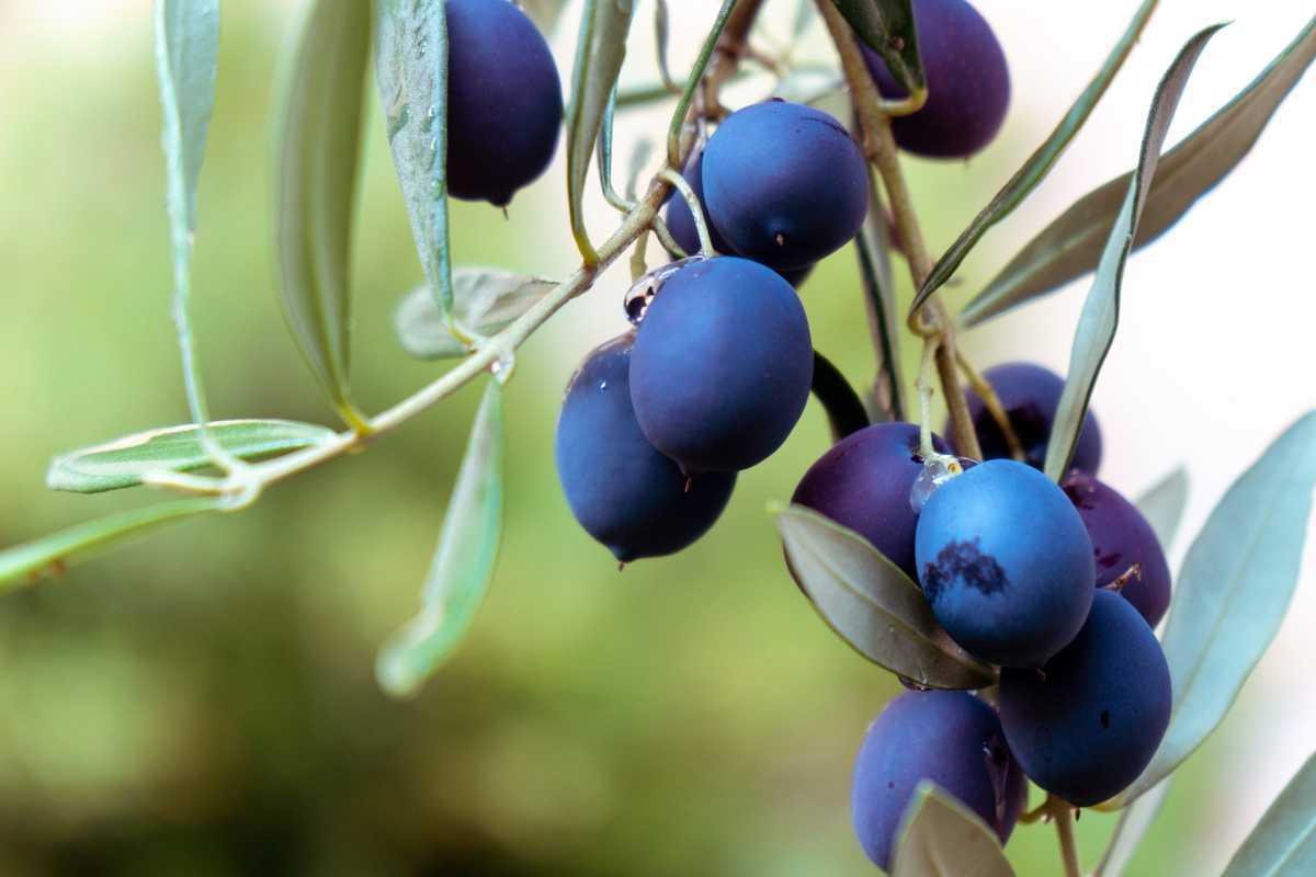 Urlaub in Lissabon: mim verstorbenen Papst Franziskus, damals beim WJT ... Urlaub in Lissabon: mim verstorbenen Papst Franziskus, damals beim WJT ...