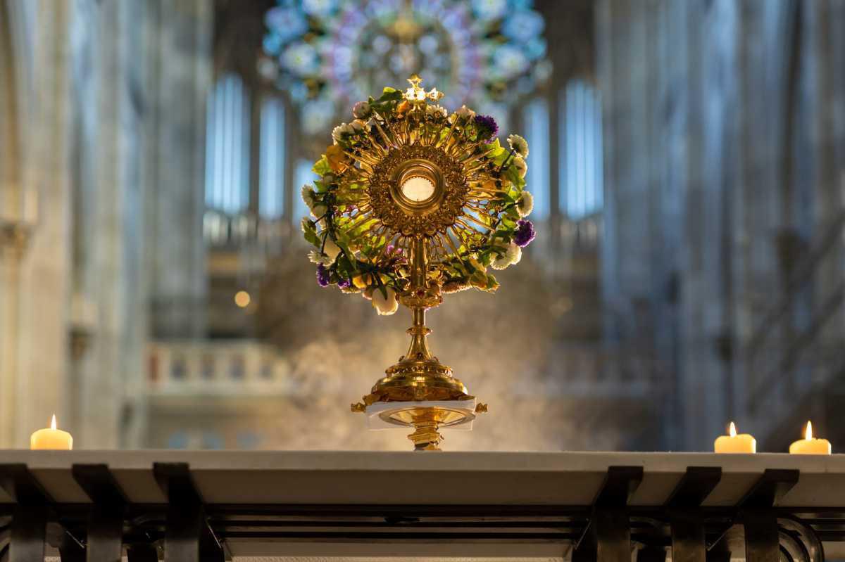 Urlaub auf der Autostrada in den Himmel mit Carlo Acutis Urlaub auf der Autostrada in den Himmel mit Carlo Acutis