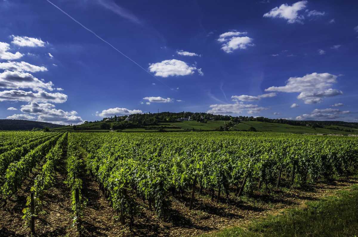 Urlaub bei Elisabeth in Burgund & der Himmel in ihr 