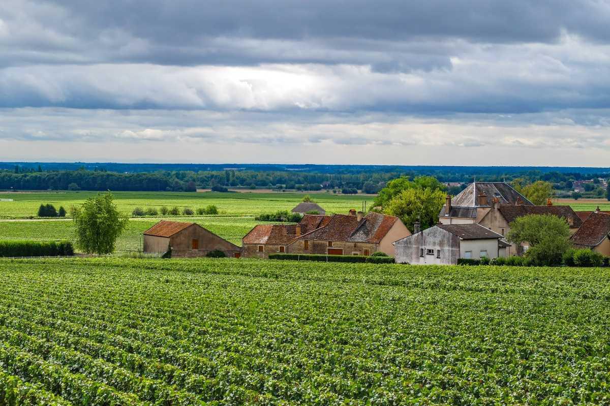 Urlaub bei Elisabeth in Burgund & der Himmel in ihr 