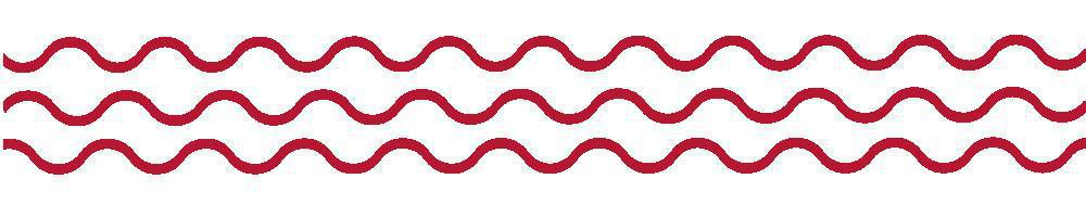 Alois hoffnungsvolles Empfehlungsschreiben Alois hoffnungsvolles Empfehlungsschreiben