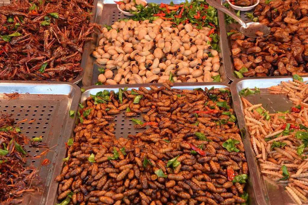 L’inizio della fine L’inizio della fine