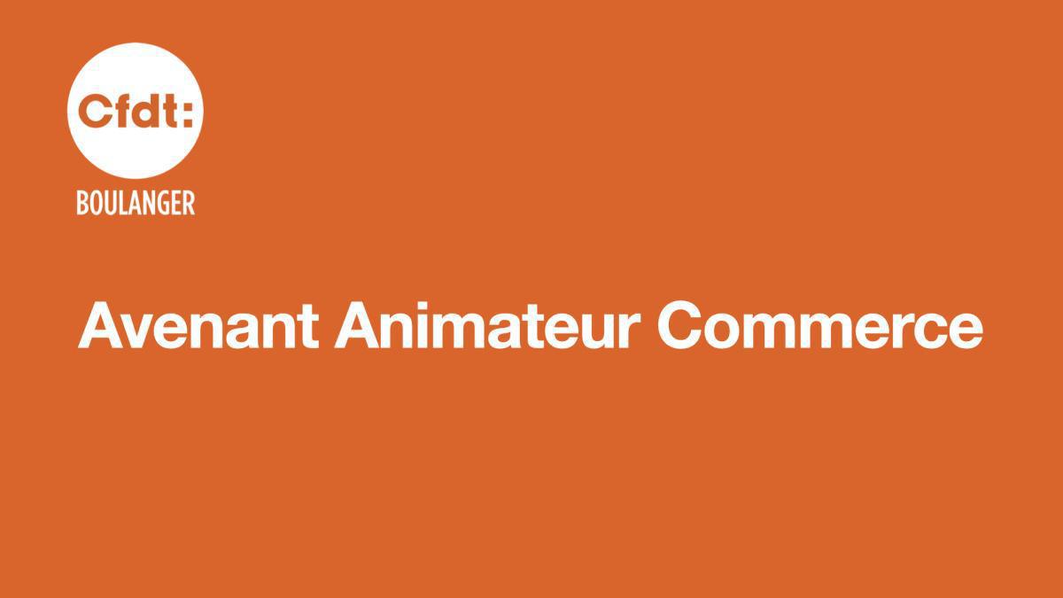 Avenant 3 Animateur Commerce 
