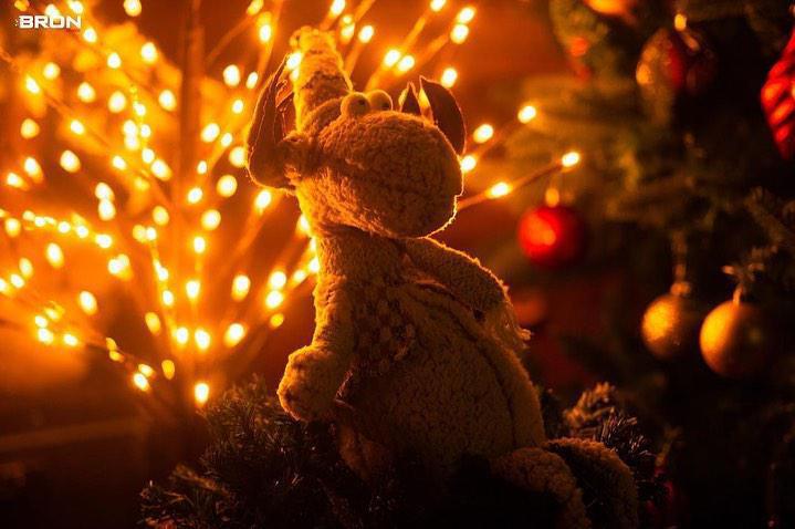 Дорогие друзья, Bronstudio студия готова к Новогодним снимкам ☃️❄️🎄