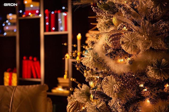 Дорогие друзья, Bronstudio студия готова к Новогодним снимкам ☃️❄️🎄