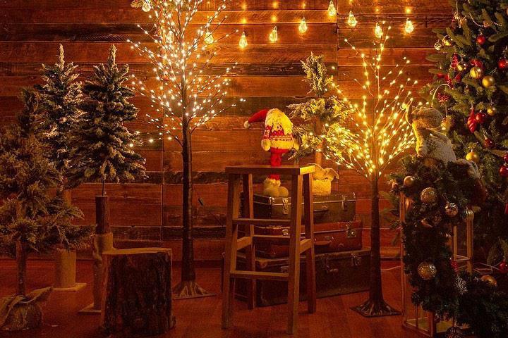 Дорогие друзья, Bronstudio студия готова к Новогодним снимкам ☃️❄️🎄