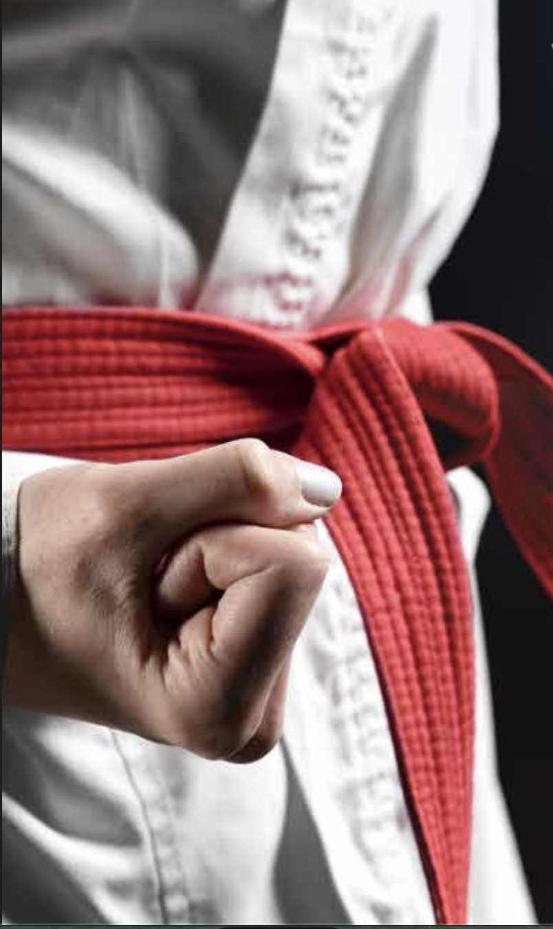  -JISSEN DOJO KARATE - 