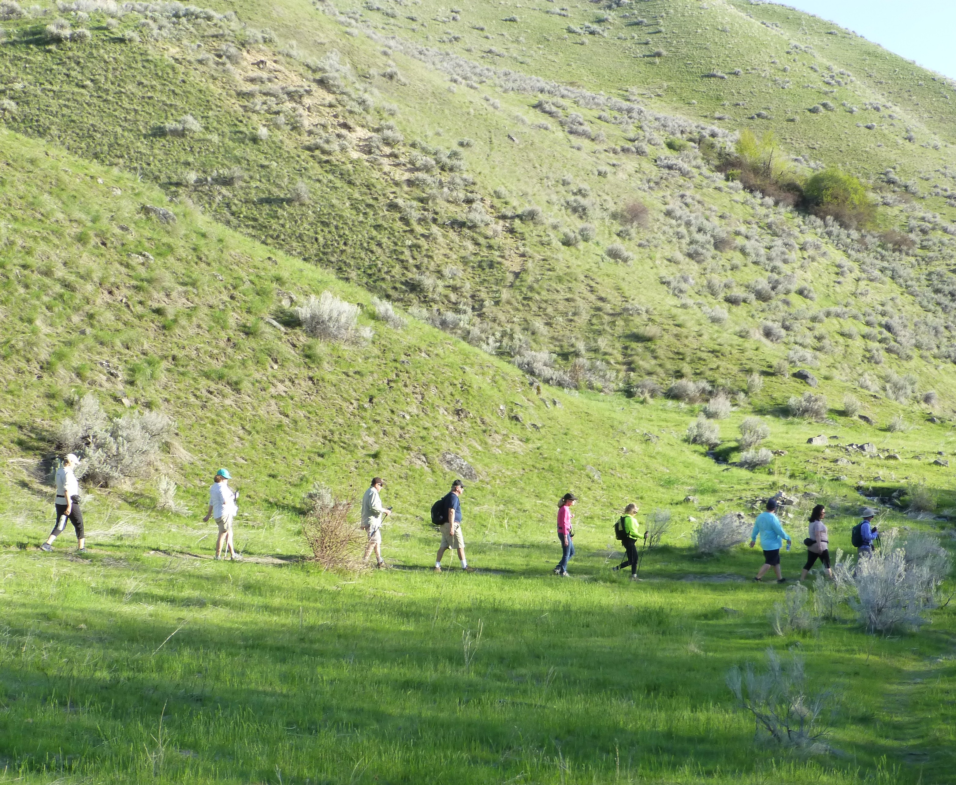 Foothills Hiking