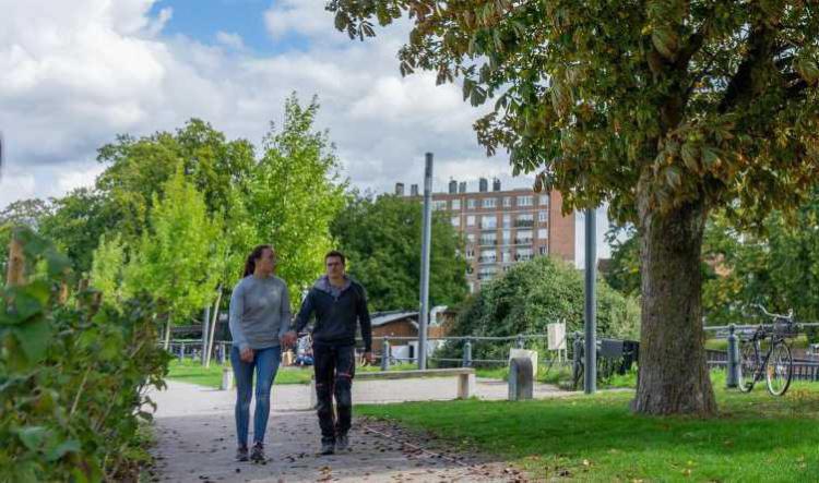 Linselles: et si on plantait 3 500 arbres dans la ville pour lutter contre les îlots de chaleur?