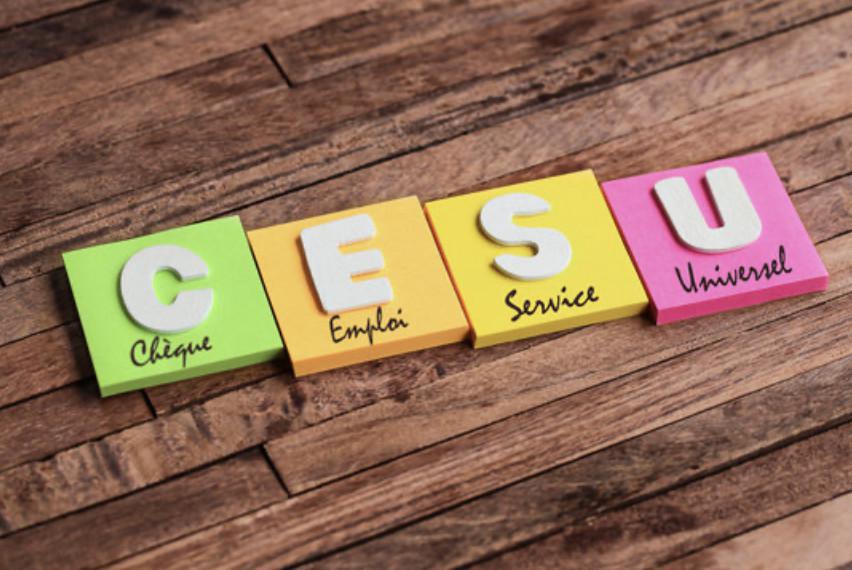 Campagne chèques CESU pour salariés et conjoints en situation de handicap Campagne chèques CESU pour salariés et conjoints en situation de handicap