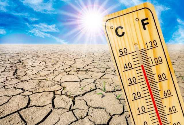 CANICULE : Les obligations de l'employeur