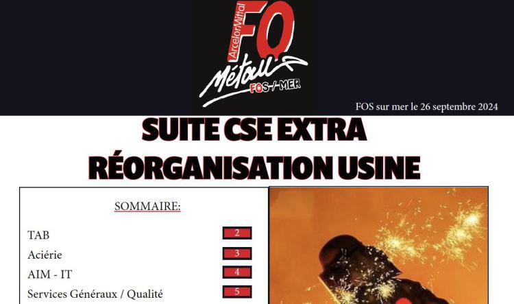 SUITE CSE EXTRA RÉORGANISATION USINE