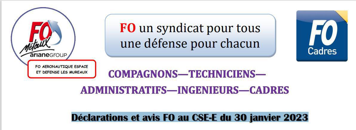 Déclarations et avis FO au CSE-E du 30 janvier 2023 Déclarations et avis FO au CSE-E du 30 janvier 2023