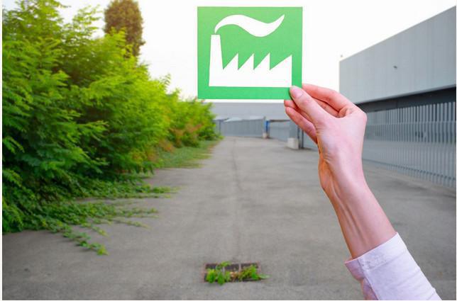 APEC: Métiers verts, davantage d'offres d'emplois cadres APEC: Métiers verts, davantage d'offres d'emplois cadres
