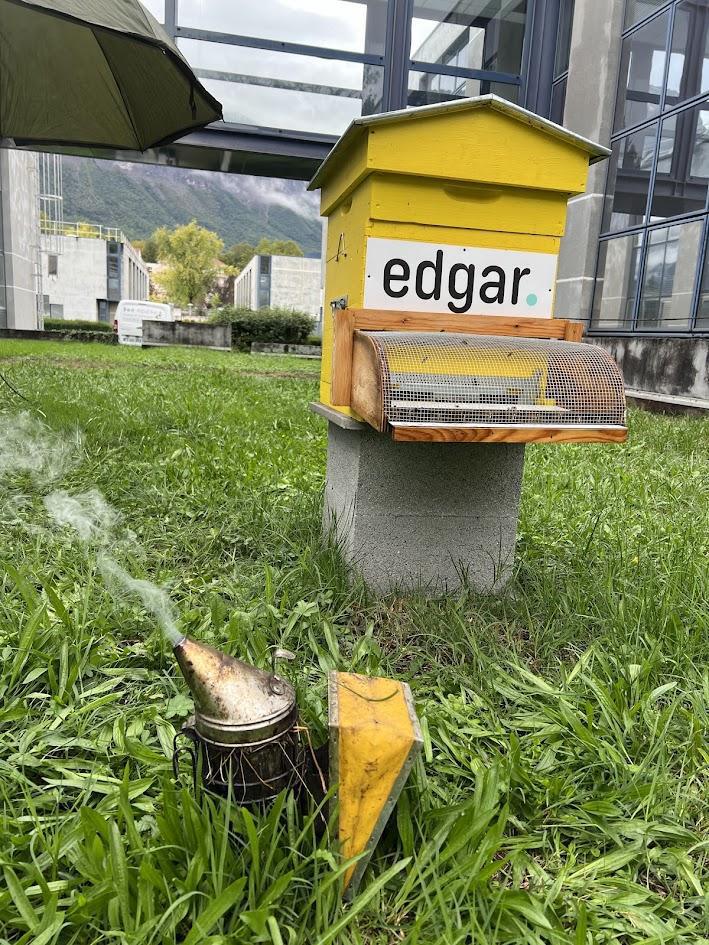 Bee Abeille Bee Abeille