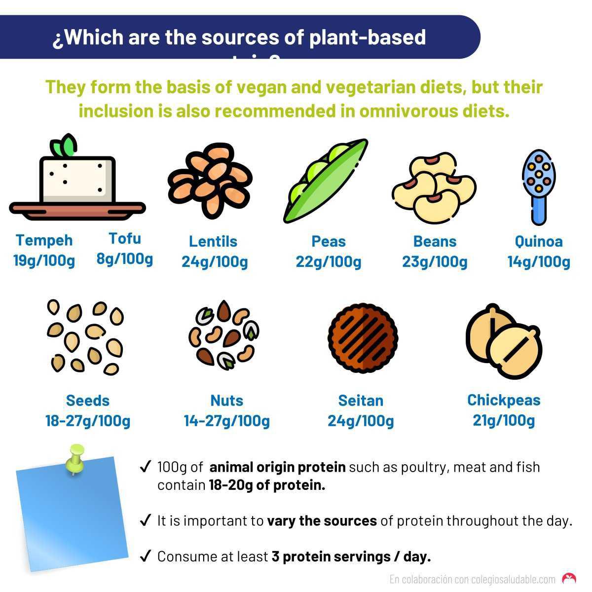 ¿Cuáles son las fuentes de proteína vegetal? 