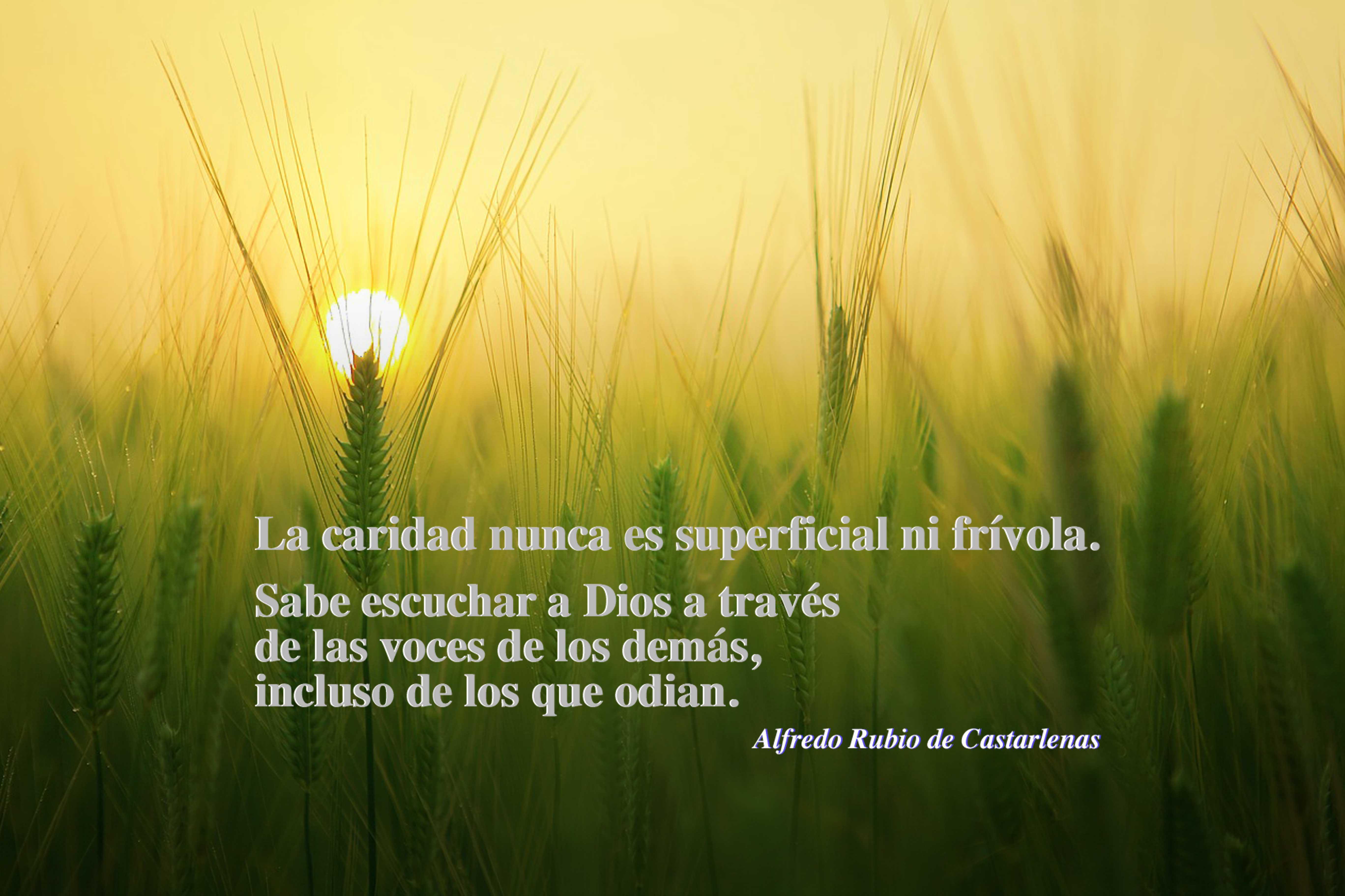 Frase 132