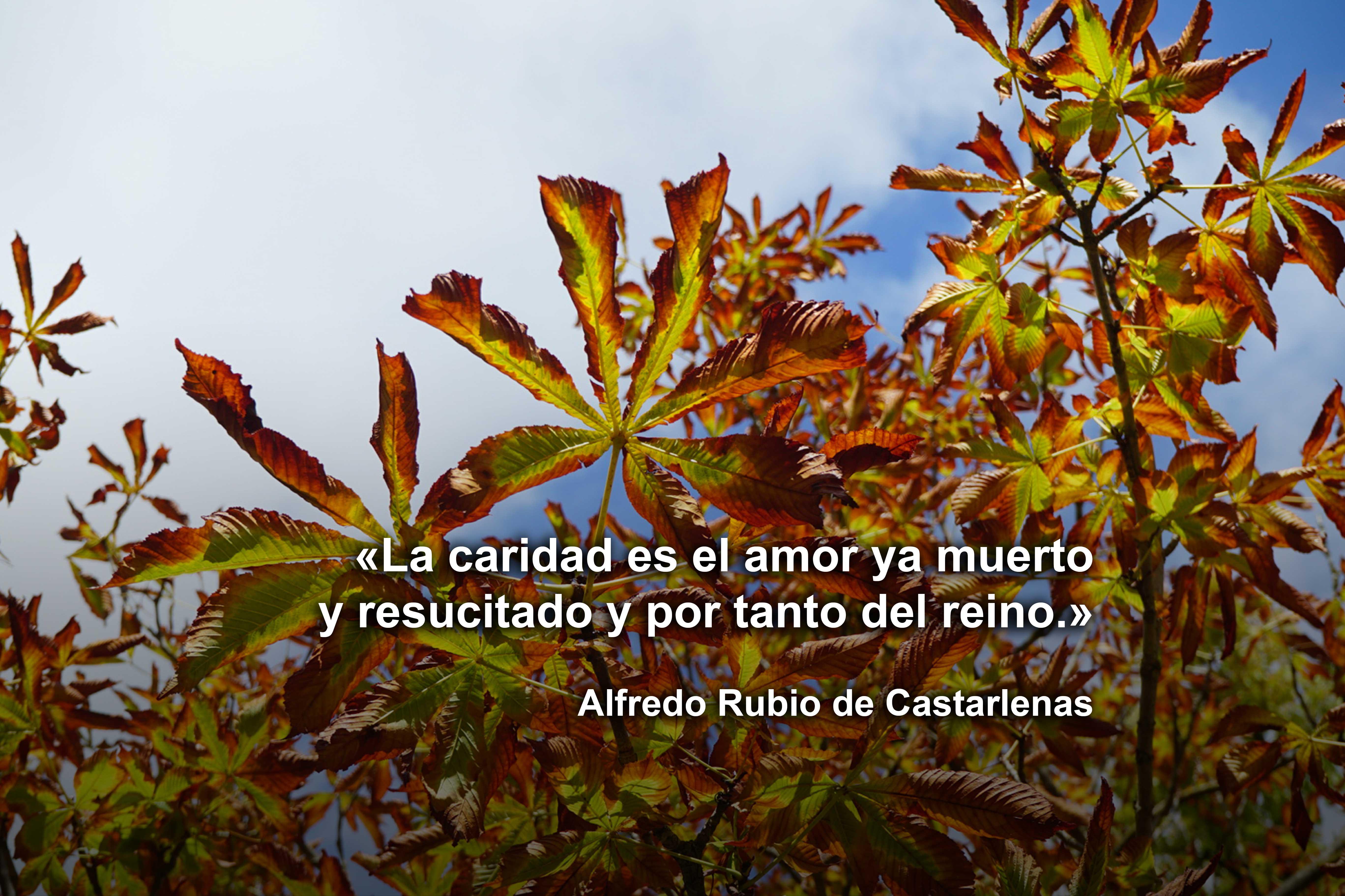 Frase 131