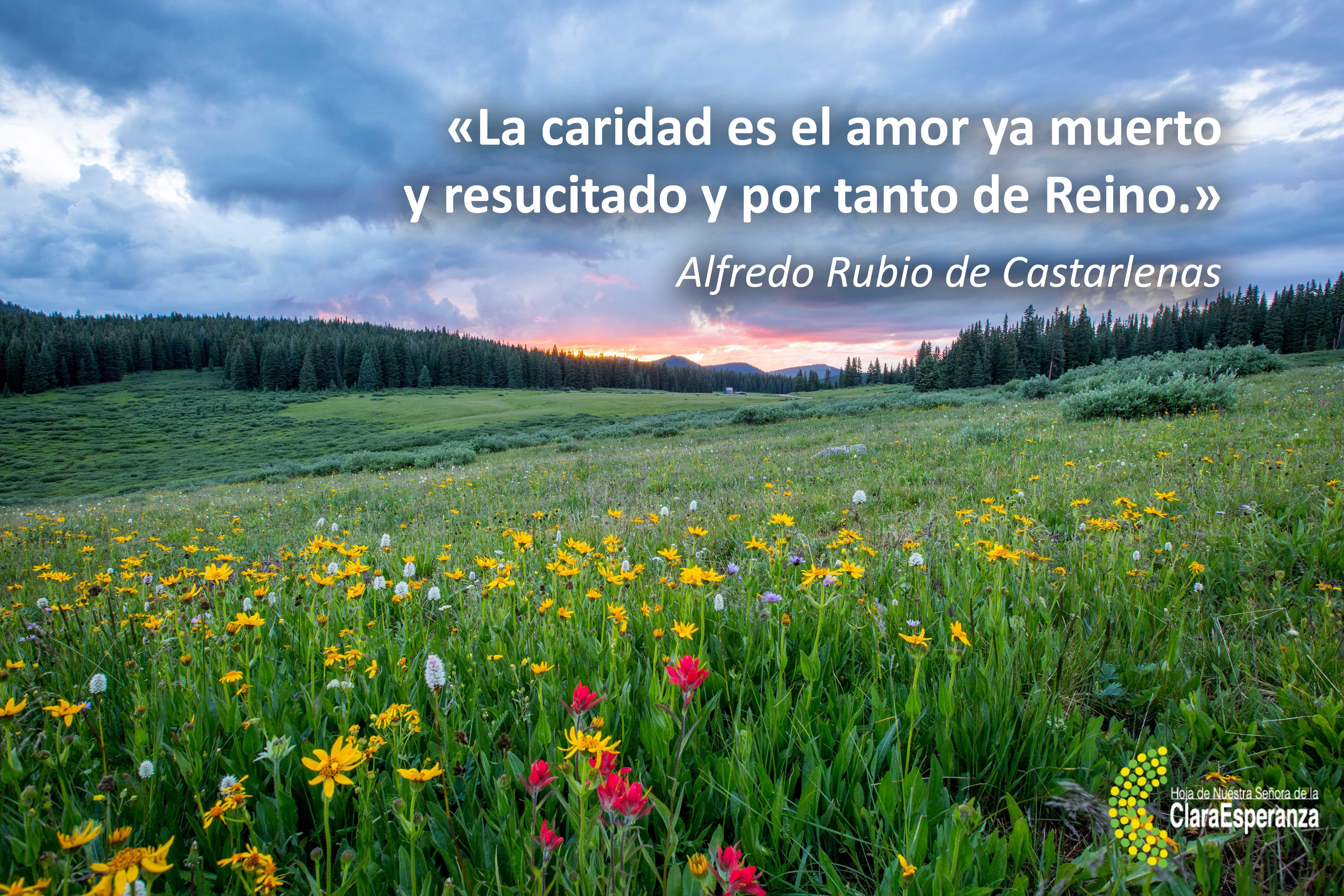 Frase 144