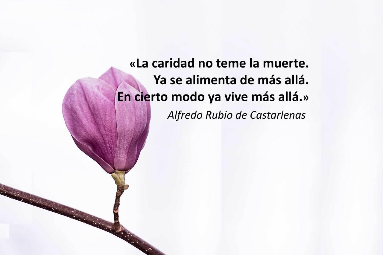Frase 152