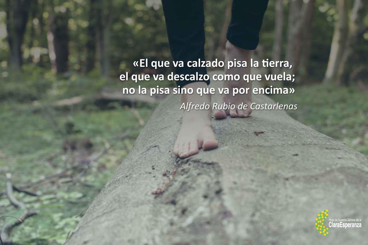 Frase 184