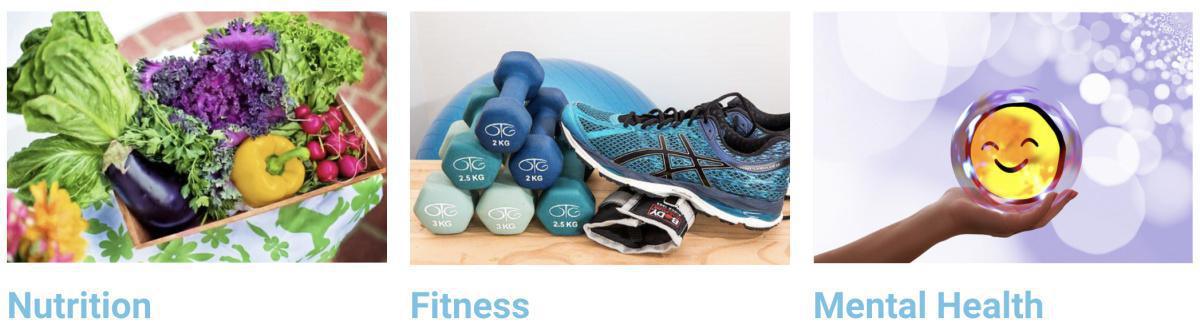 Health & Wellness