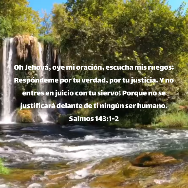 625CD87D-1281-4121-82B0-F5C098FC47F5