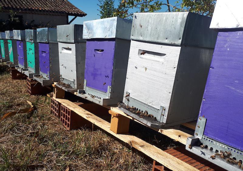 Les Reines du Pech Les Reines du Pech
