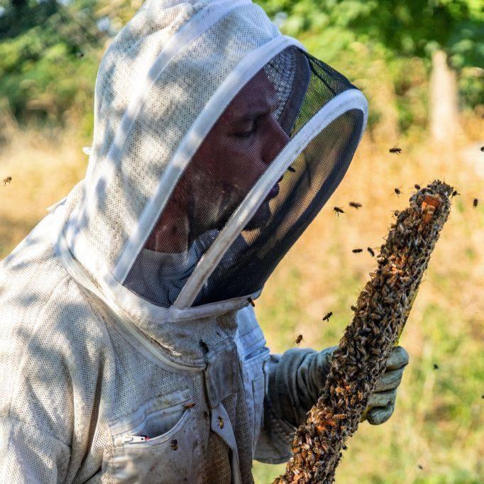 Le Champ du bois Le Champ du bois