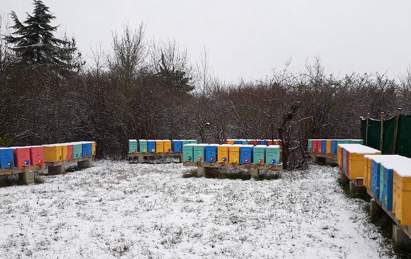 Passe-moi l’miel Passe-moi l’miel