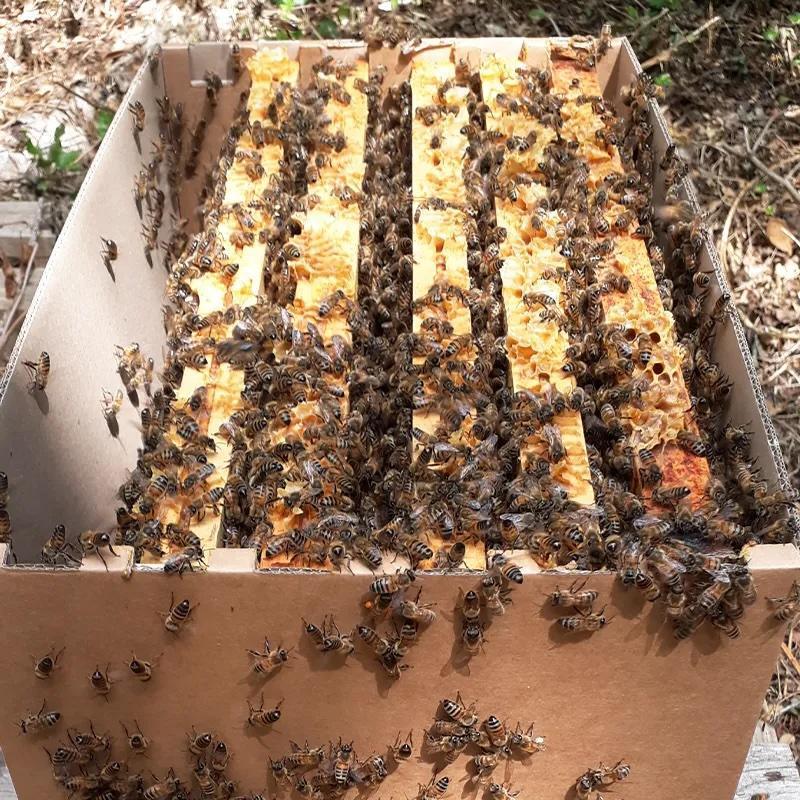 Passe-moi l’miel Passe-moi l’miel