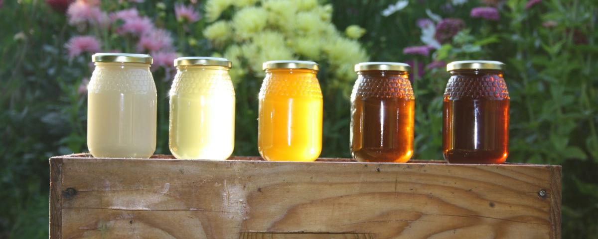 L'Abeille Hurepoise L'Abeille Hurepoise