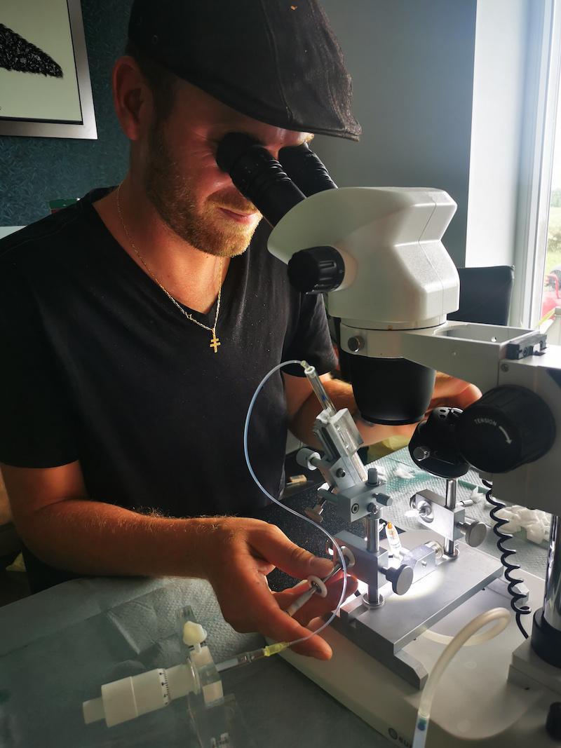 Les ruchers de Wendy Les ruchers de Wendy