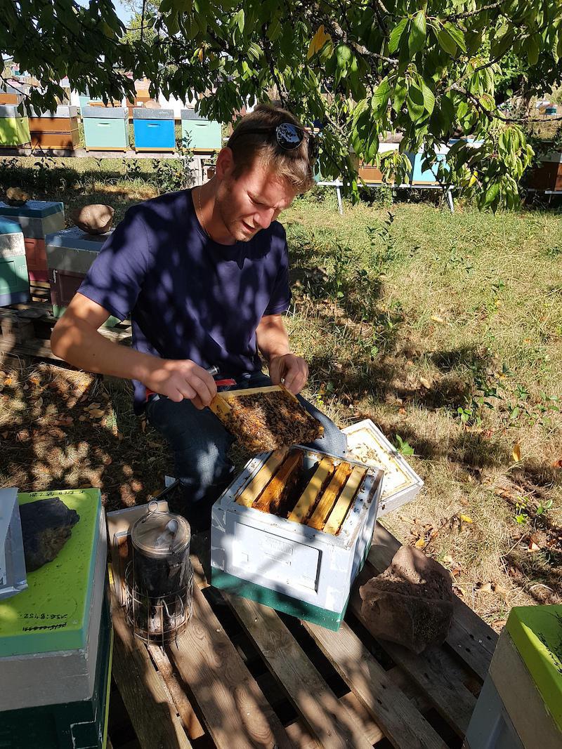 Les ruchers de Wendy Les ruchers de Wendy