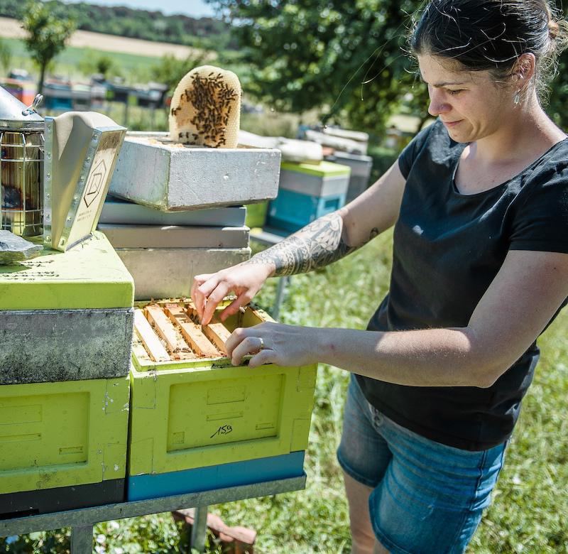 Les ruchers de Wendy Les ruchers de Wendy