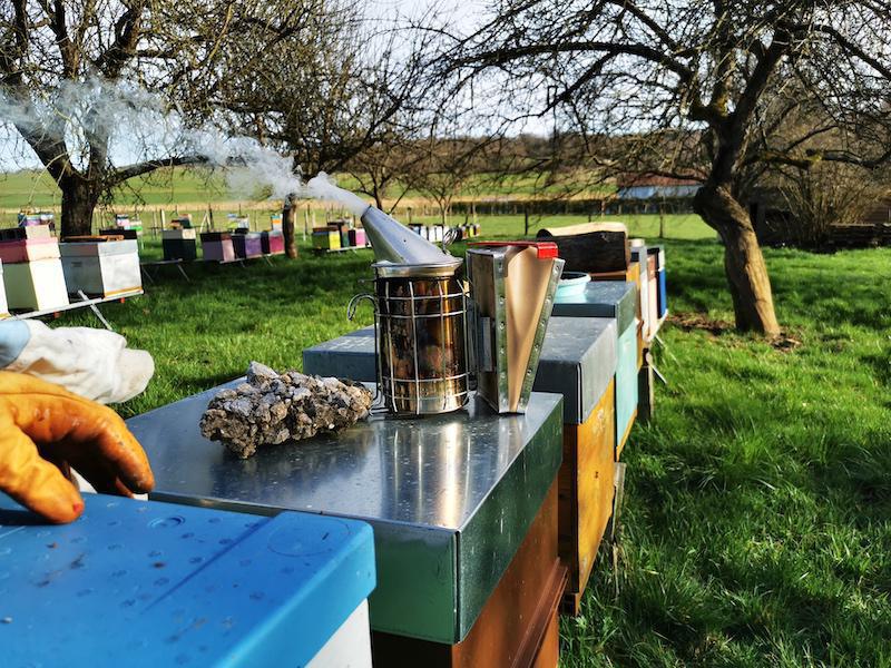 Les ruchers de Wendy Les ruchers de Wendy