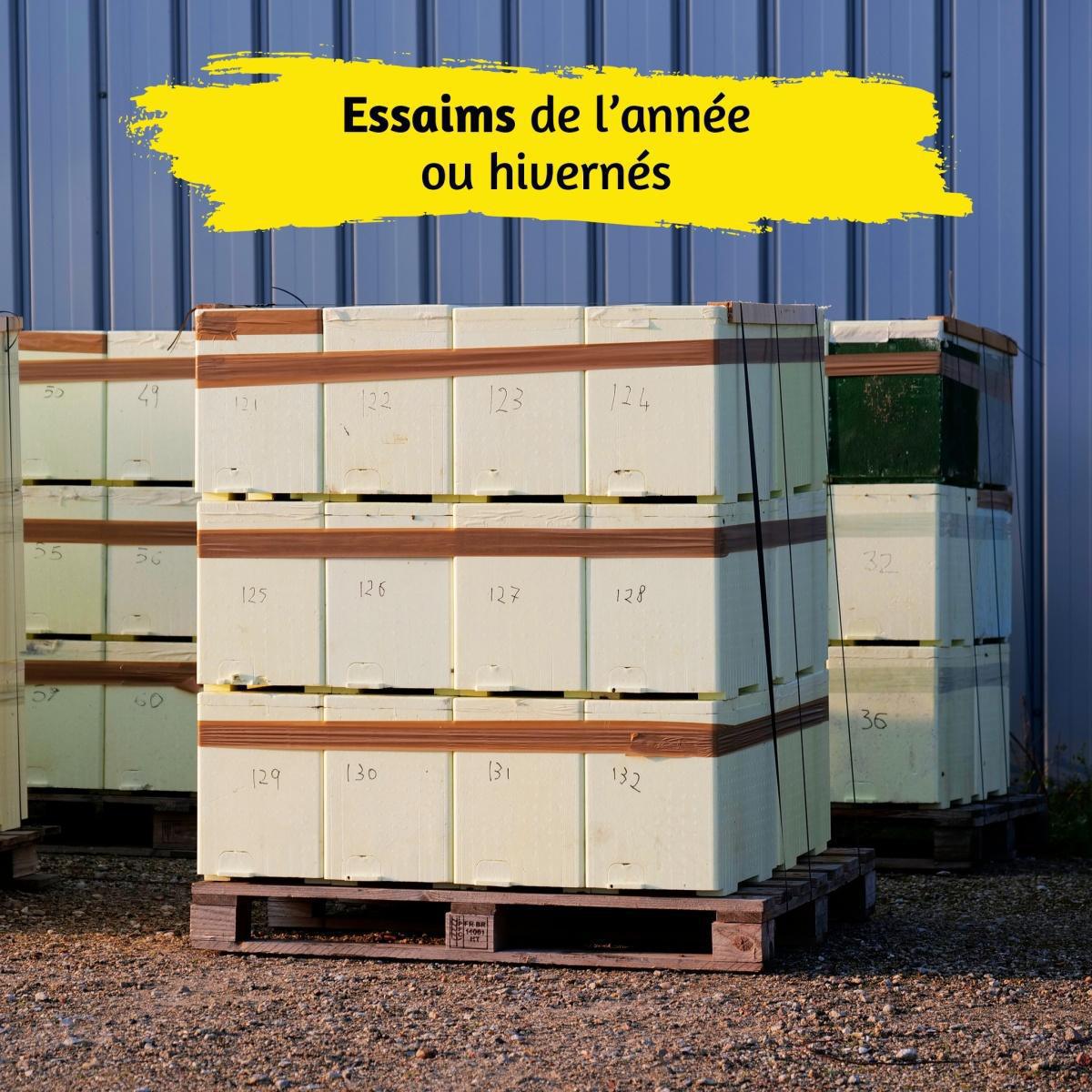 Thomas Apiculture L’Hôpital Thomas Apiculture L’Hôpital