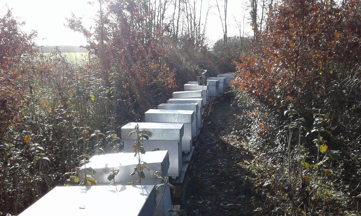 GAEC Des Butineuses GAEC Des Butineuses