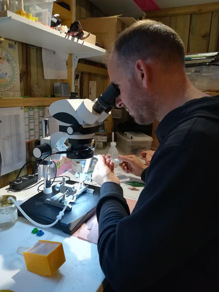 Apiculture et sélection Apiculture et sélection