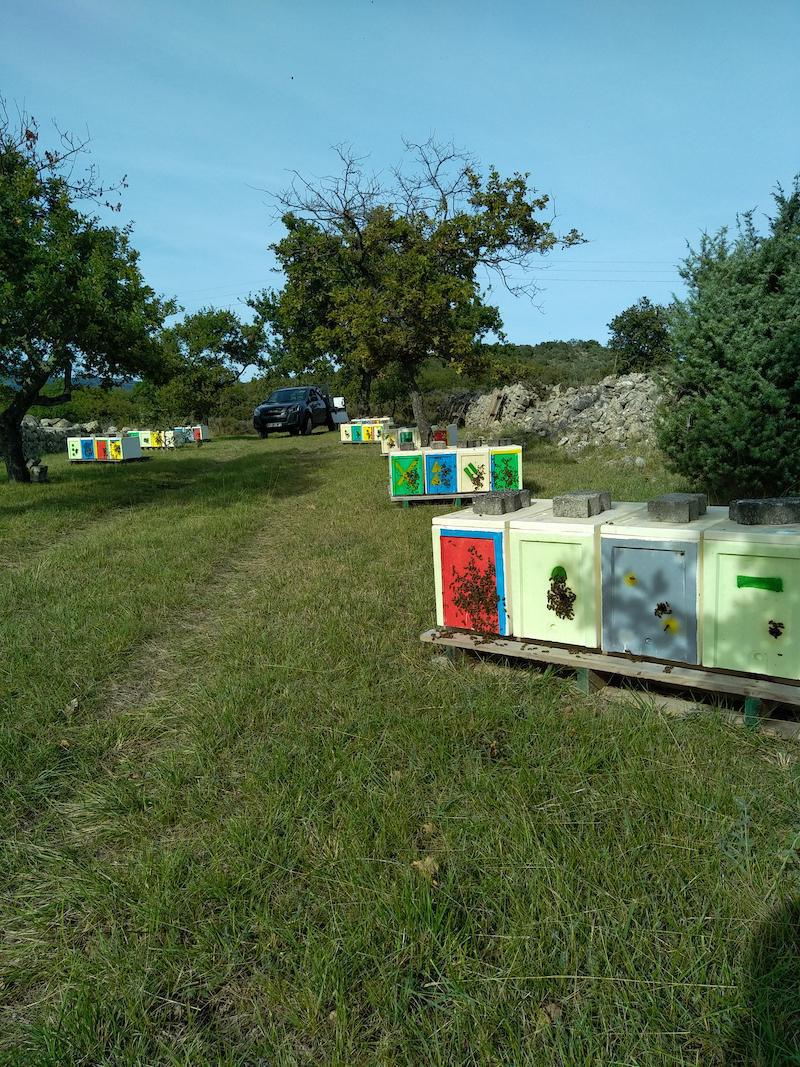 Bourg Apiculture Bourg Apiculture