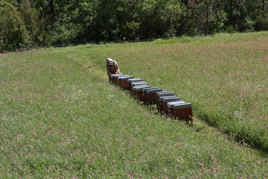 Maison Bee Maison Bee