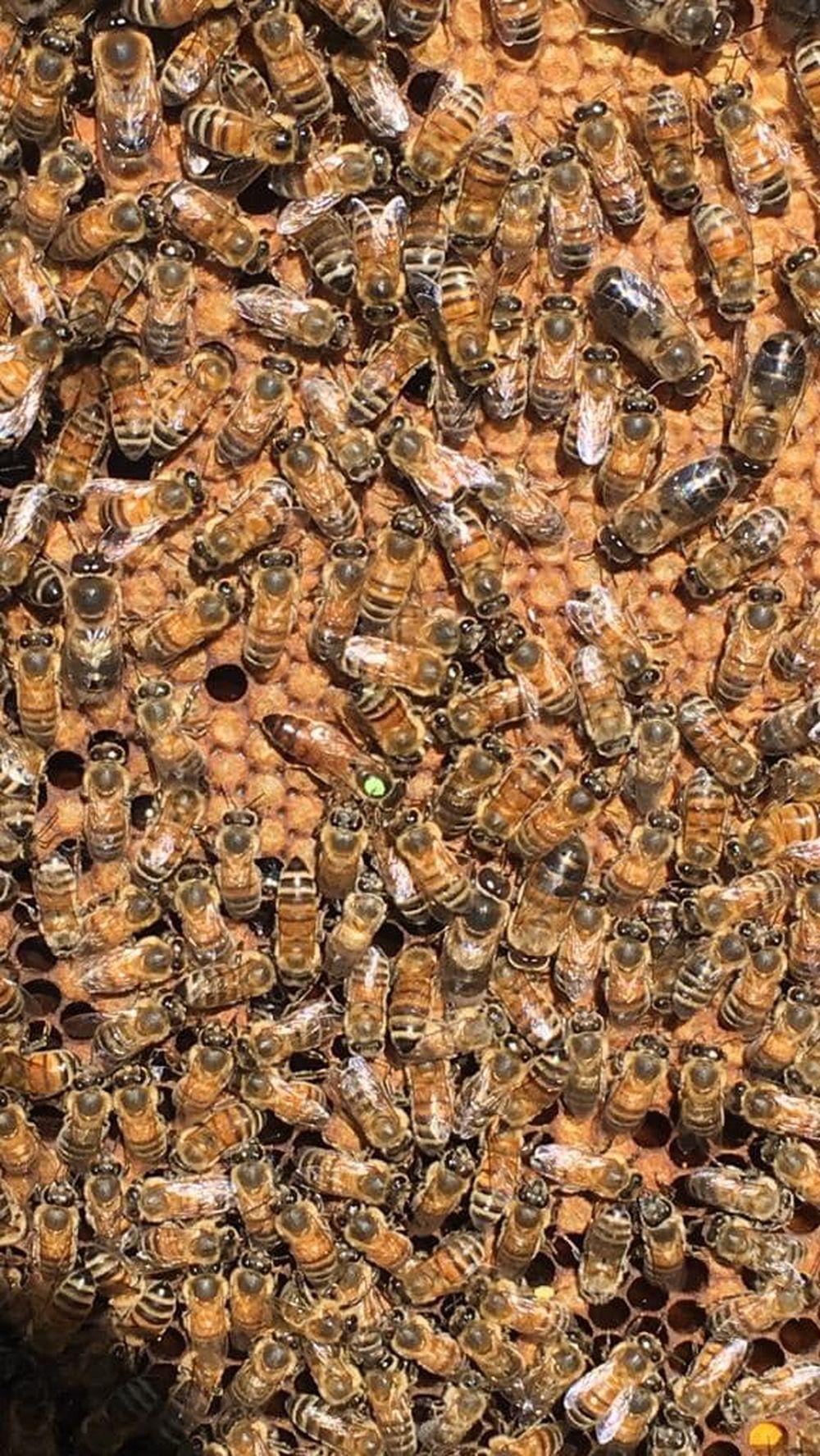 Le Rucher de Claron Le Rucher de Claron