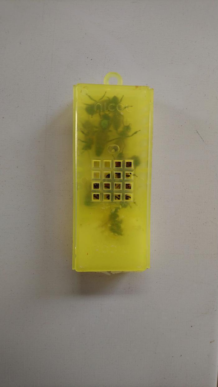 Ruches et Cadres Ruches et Cadres