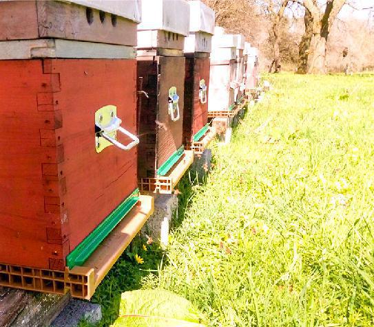 LE RUCHER DU PAYS DES SOURCES LE RUCHER DU PAYS DES SOURCES