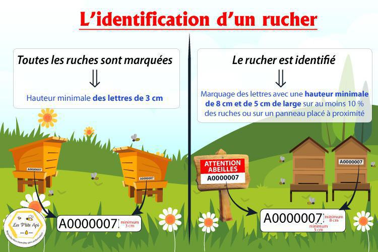 L'identification d'un rucher - Quelles sont les obligations ? L'identification d'un rucher - Quelles sont les obligations ?
