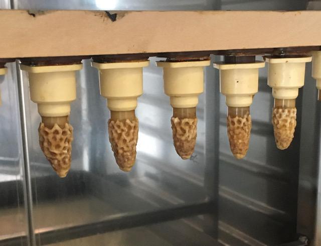 Les ZZZ'HappyCulteurs Les ZZZ'HappyCulteurs